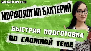 ЕГЭ Биология 2022 | Морфология бактерий