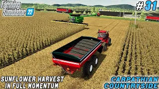 Sales-Ready Product Delivery, harvesting sunflowers | Carpathian Farm | Farming simulator 22 | #31