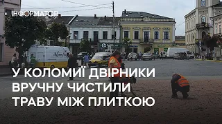 У Коломиї двірники вручну чистили траву між плиткою