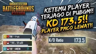 KETEMU PLAYER TERJAGO DI PUBGM! PLAYER PMCO 100% KALAH!! KD 173.5! 19 MENIT KELAR!!| PUBG MOBILE