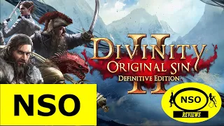 An NSO Review - Divinity Original Sin 2 Review - A real RPG