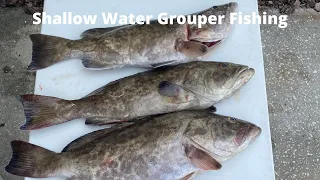 Offshore Shallow Water Gag Grouper fishing out of Clearwater Florida
