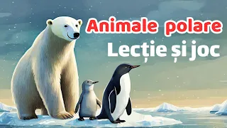 Animale polare. Lecție și joc pentru școlari și preșcolari!