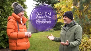 ЗАЧЕМ ОБРЕЗАТЬ РАСТЕНИЯ? Беседы с Андреем Дарусенковым