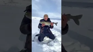 Sirgaly.Mongolia.Ice fishing