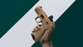 Sig P320 Animation Reel.