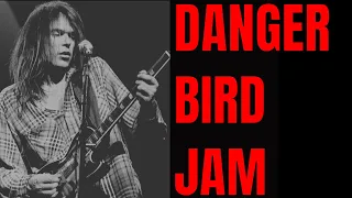 Danger Bird Jam | Crazy Horse / Neil Young Style Guitar Backing Track (A Minor)