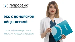 ЭКО с донорской яйцеклеткой