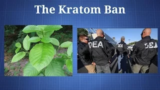 The Kratom Ban: Shedding Light on Misinformation