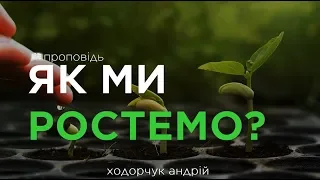 Як ми ростемо? (Андрій Ходорчук)