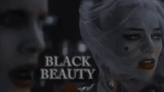 harley quinn and the joker | black beauty