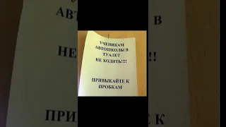 Смешные объявления. Кота в общагу не пускать