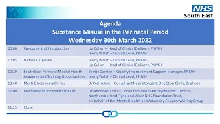 Webinar 29: Perinatal Mental Health Services; Substance Misuse in the Perinatal Period