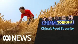 China is facing a growing food security problem | China Tonight | ABC News