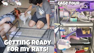 BUILDING/DECORATING NEW RAT ENCLOSURE!🐁