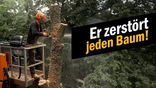 Er zerstört jeden Baum - einfach so! Notfällung im Botschafterviertel.