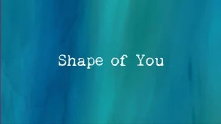 Ed Sheeran - Shape of You (Karaoke) Lower Key