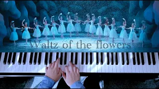 Waltz Of The Flowers From "Nutcracker Ballet" by Tchaikovsky