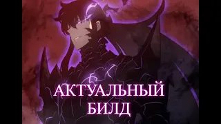 Лучший билд на Сон Чину | Solo leveling Arise