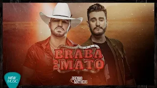 Brenno e Matheus - Braba Do Mato