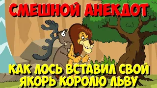 Jokes about animals. How the Lion King and the Moose fell out of the forest in the rain.