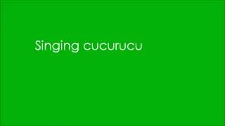 Nick Mulvey - Cucurucu Lyrics