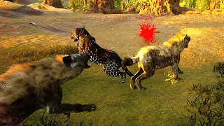 The Life of a Hyena - Animalia Survival