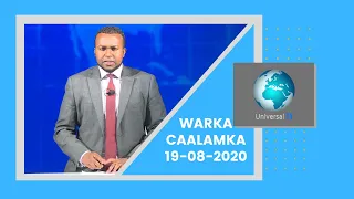 Warka Universal TV 19 8 2020