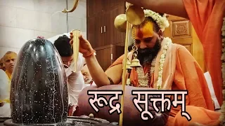 Rudra Suktam | Rudra Path By राजेंद्र दास जी Rajendra Das Ji Maharaj | Vedic Chanting by 21 Brahmins
