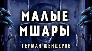 МАЛЫЕ МШАРЫ | ГЕРМАН ШЕНДЕРОВ ПРЕДСТАВЛЯЕТ