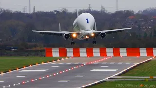 Airbus BELUGA Fantastic CROSSWIND Landing + A300-600ST Beluga Plane Spotting at Hawarden Airport!