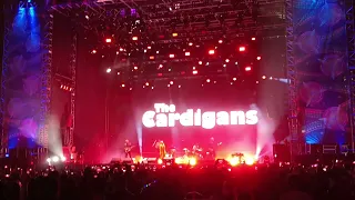 The Cardigans - My favourite game  Tecate bajio 2022