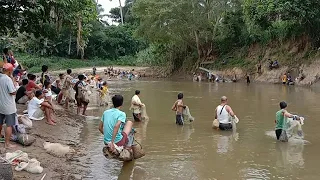 Fishing Net Video - Amazing Traditional  Fishing in River By Net People in Village