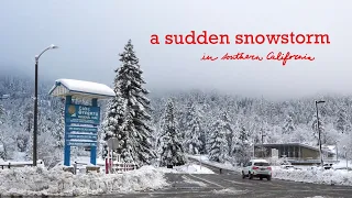 A Weekend of SNOW in Crestline, California (a snow vlog 캘리포니아 산동네 )