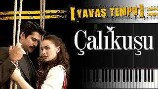 Çalıkuşu (Jenerik Müziği) [Piyano]+[Nota]+[Karaoke]+[Yavaş Tempo]