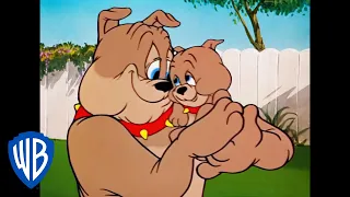 Tom y Jerry en Latino | Spike, el Padre del Año | WB Kids