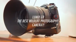 IS THIS THE BEST CAMERA FOR WILDLIFE PHOTOGRAPHY?! | LUMIX G9