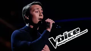 August Dahl - All I Want | The Voice Norge 2017 | Live show