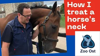 How I treat a horse's neck