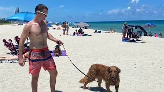 Haulover Dog Beach - Miami, Florida