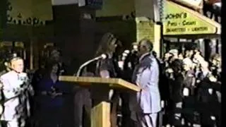 Walk Of Fame-Lindsay Wagner