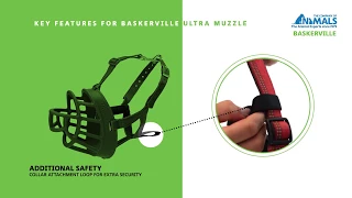 How to Fit The Baskerville ULTRA Muzzle