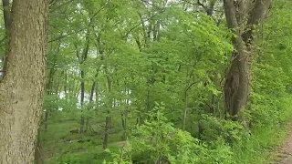 Day 82. The Illinois & Michigan Canal Trail California Chrome's American Discovery Trail Thru-hike.