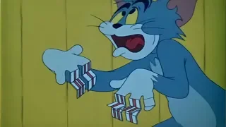Tom and Jerry - Sorry Safari [1962]