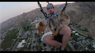 Jet Goes Gliding - A Dogs Hike and Fly Paragliding Adventure