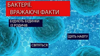 Бактерії. 6 Вражаючих Фактів