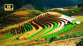 FLYING OVER LUSH MOUNTAIN TERRACE FIELDS 8K - Relaxation Music Video #breathtakingviews # #calming