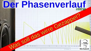 ELENDES GEZAPPEL | Phasenverlauf einfach erklärt #REW