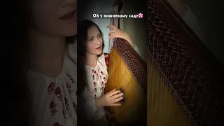 Українська народна пісня «Ой у вишневому саду» бандура