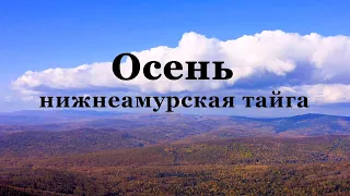 Осень. Нижнеамурская тайга // Autumn forest. Russia. Drone footage